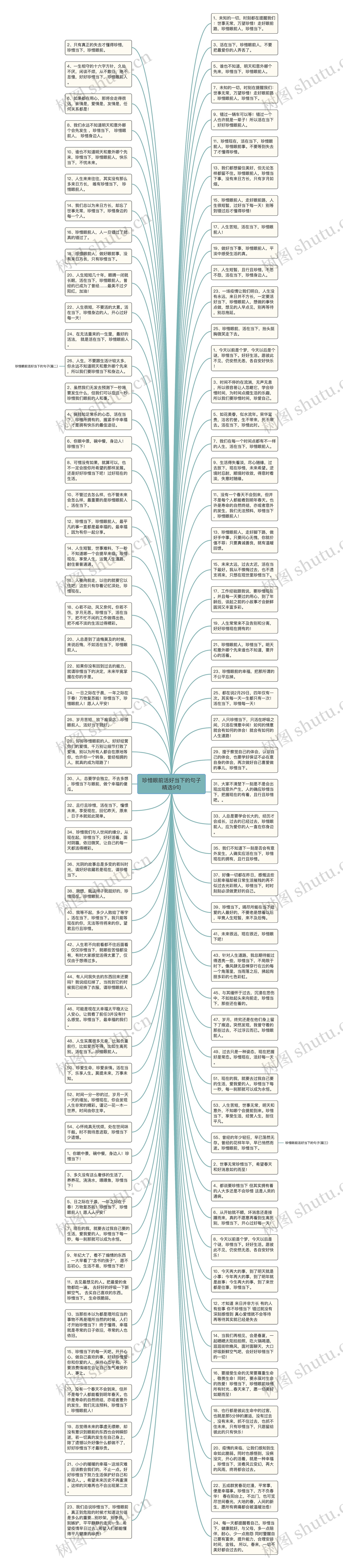 珍惜眼前活好当下的句子精选9句思维导图