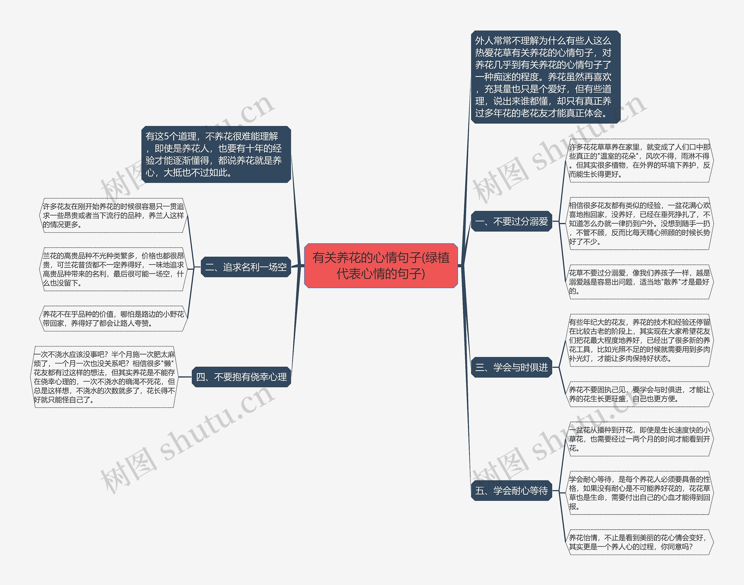 有关养花的心情句子(绿植代表心情的句子)