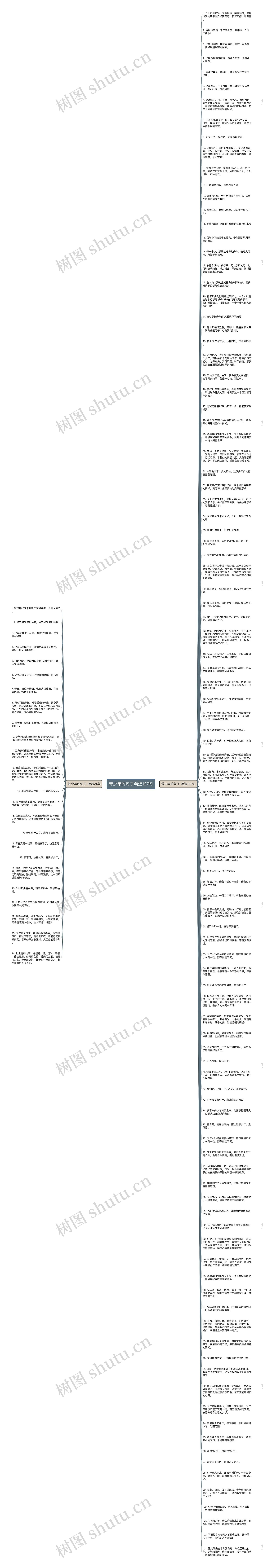 带少年的句子精选127句思维导图