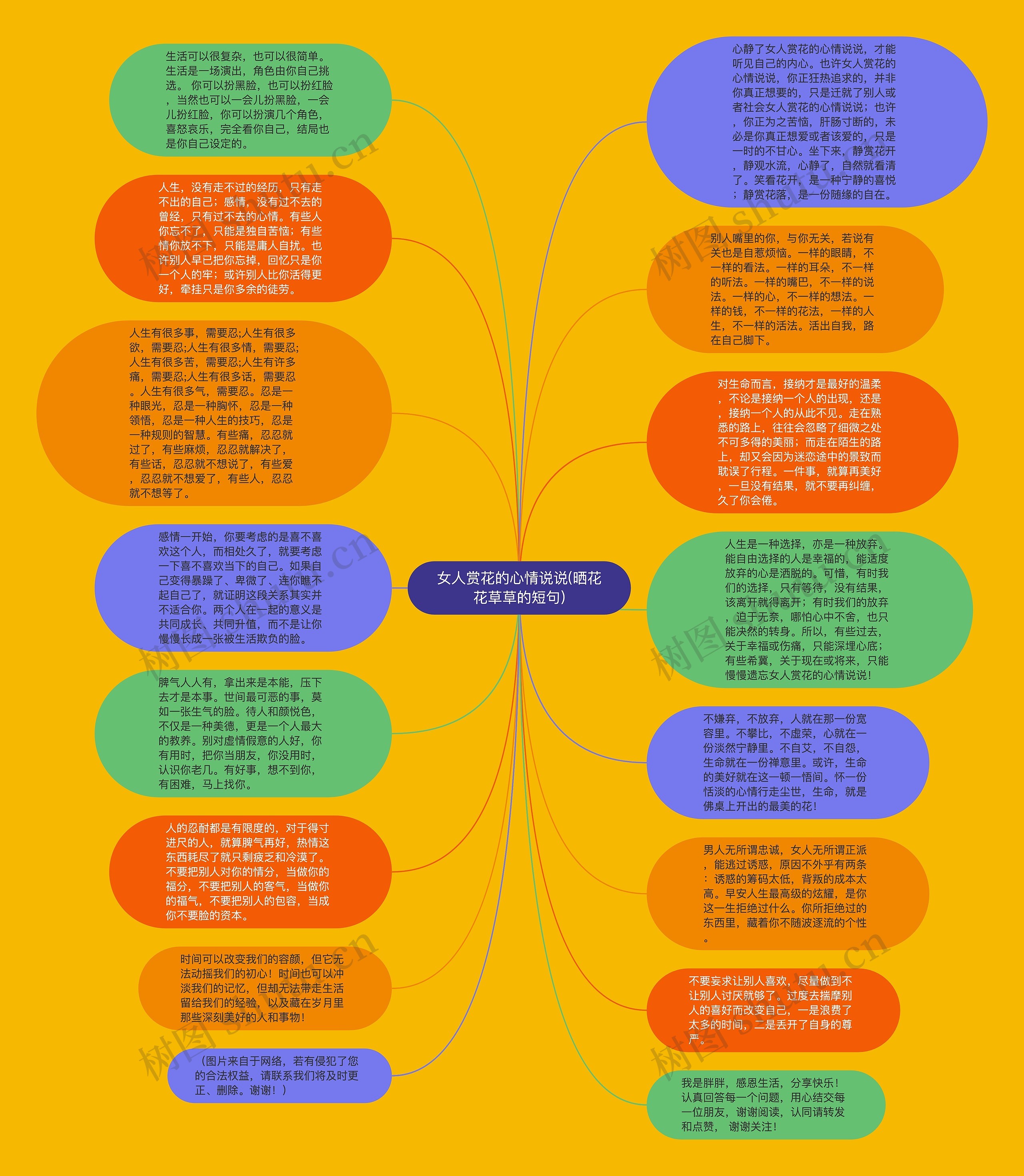 女人赏花的心情说说(晒花花草草的短句)思维导图