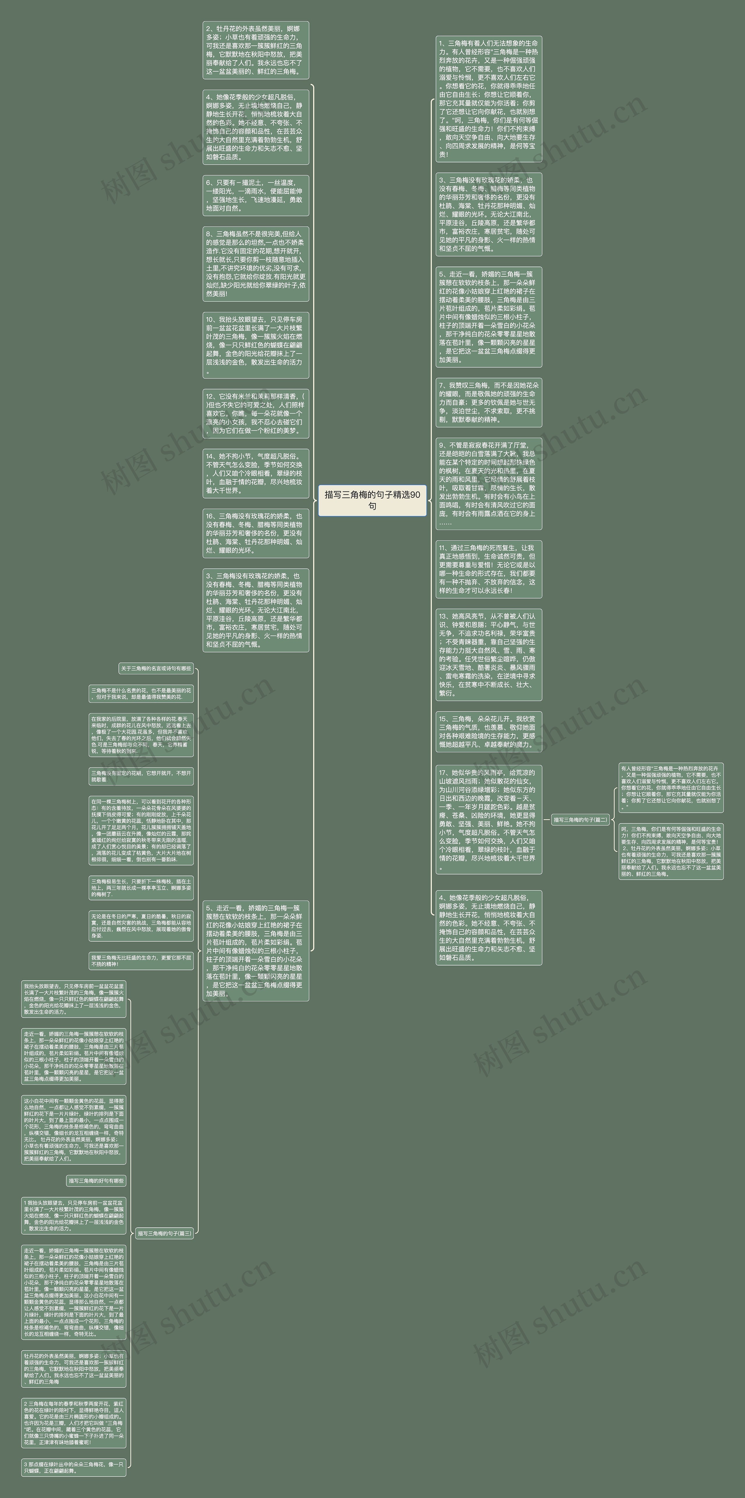 描写三角梅的句子精选90句思维导图