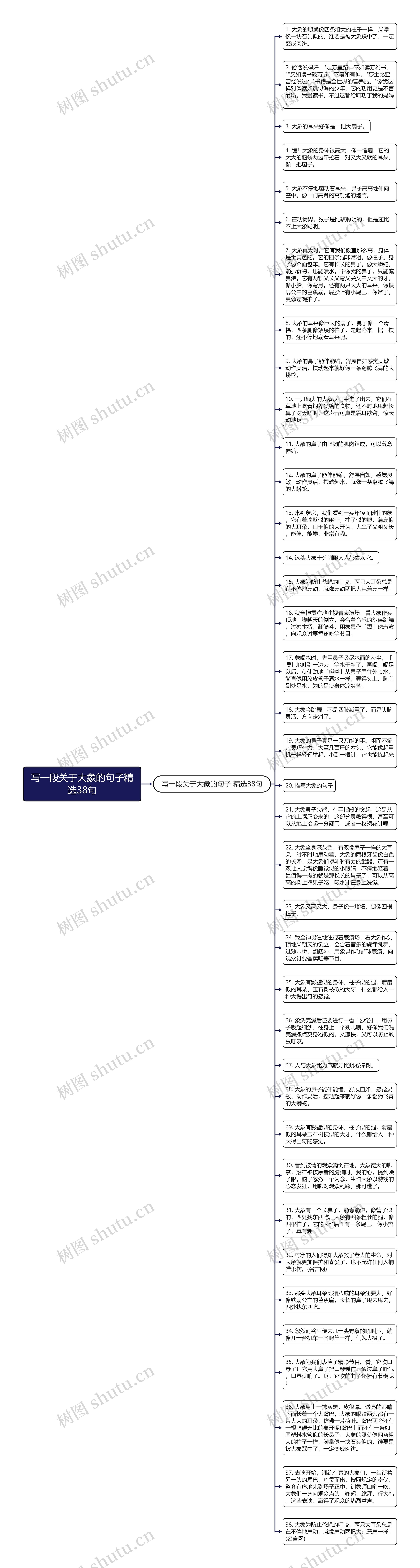 写一段关于大象的句子精选38句