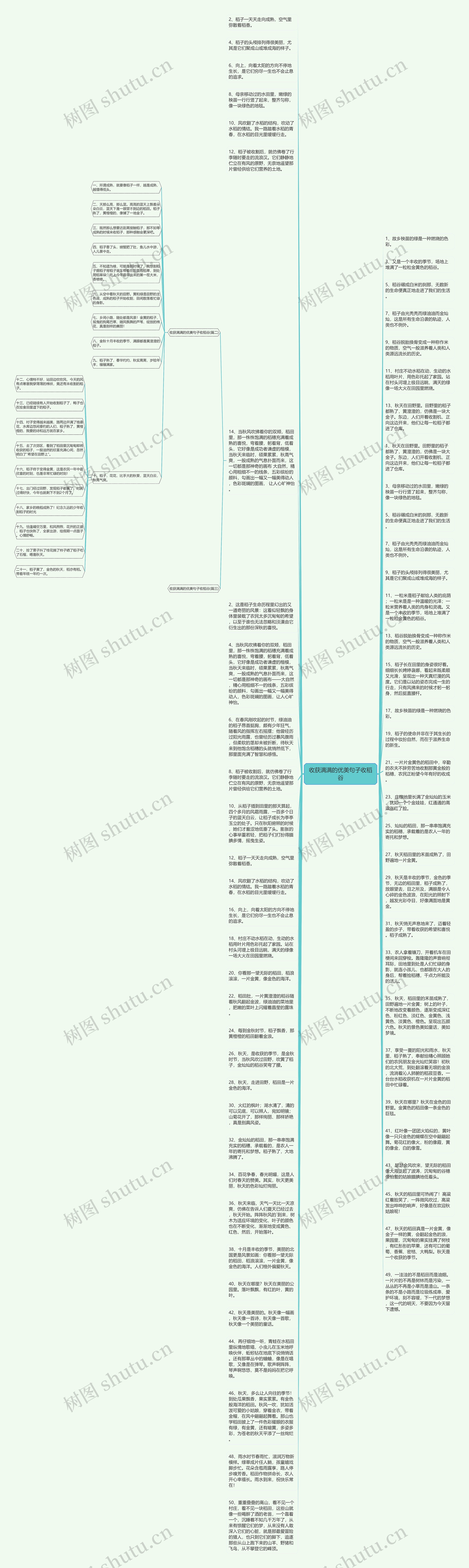 收获满满的优美句子收稻谷思维导图