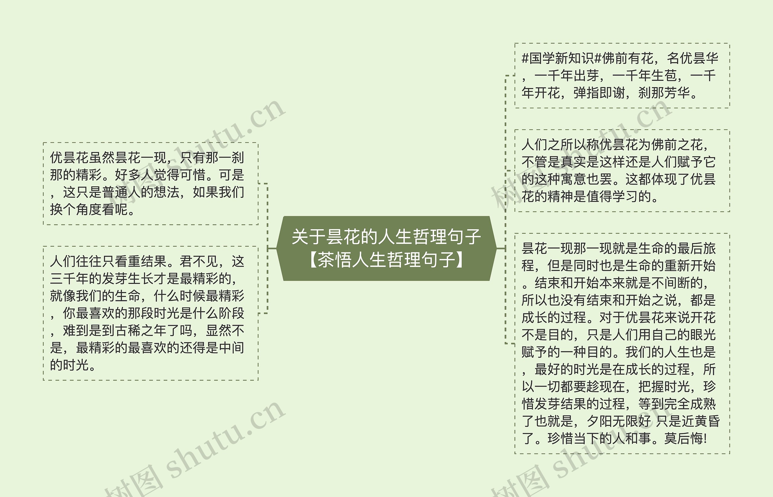 关于昙花的人生哲理句子【茶悟人生哲理句子】 关于昙花的人生哲理句子【茶悟人生哲理句子】