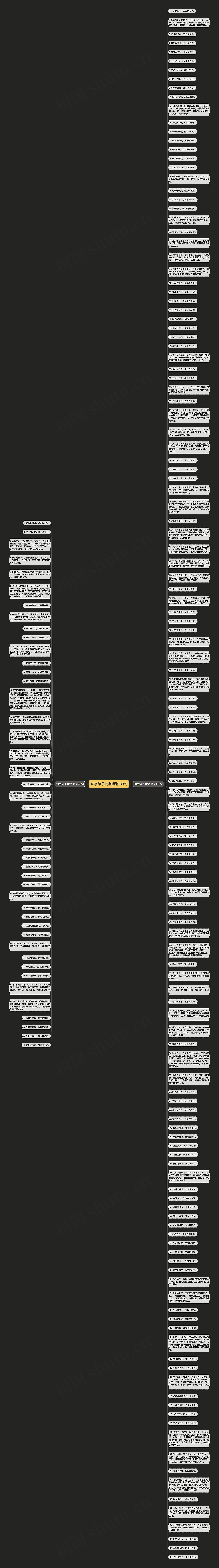 10字句子大全精选183句思维导图