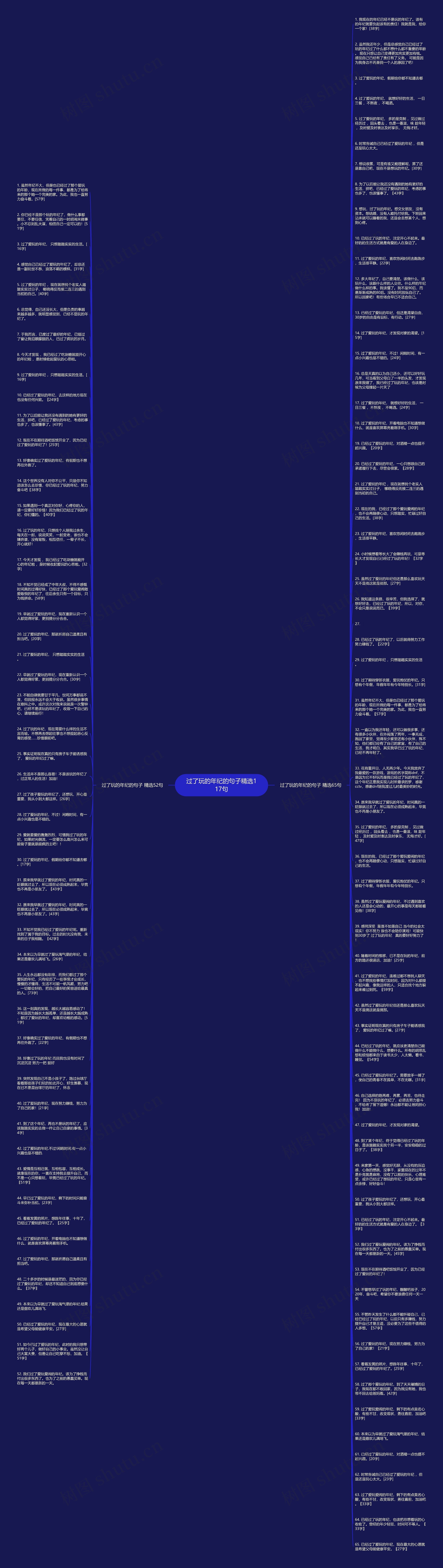 过了玩的年纪的句子精选117句思维导图