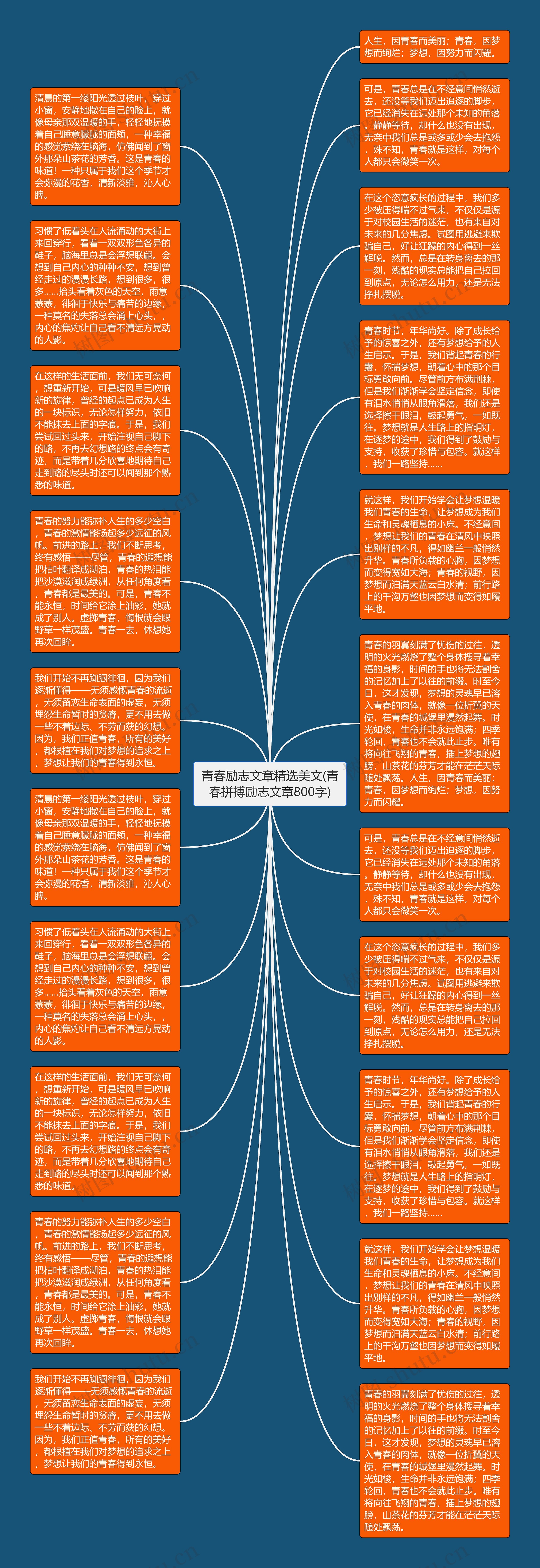 青春励志文章精选美文(青春拼搏励志文章800字)