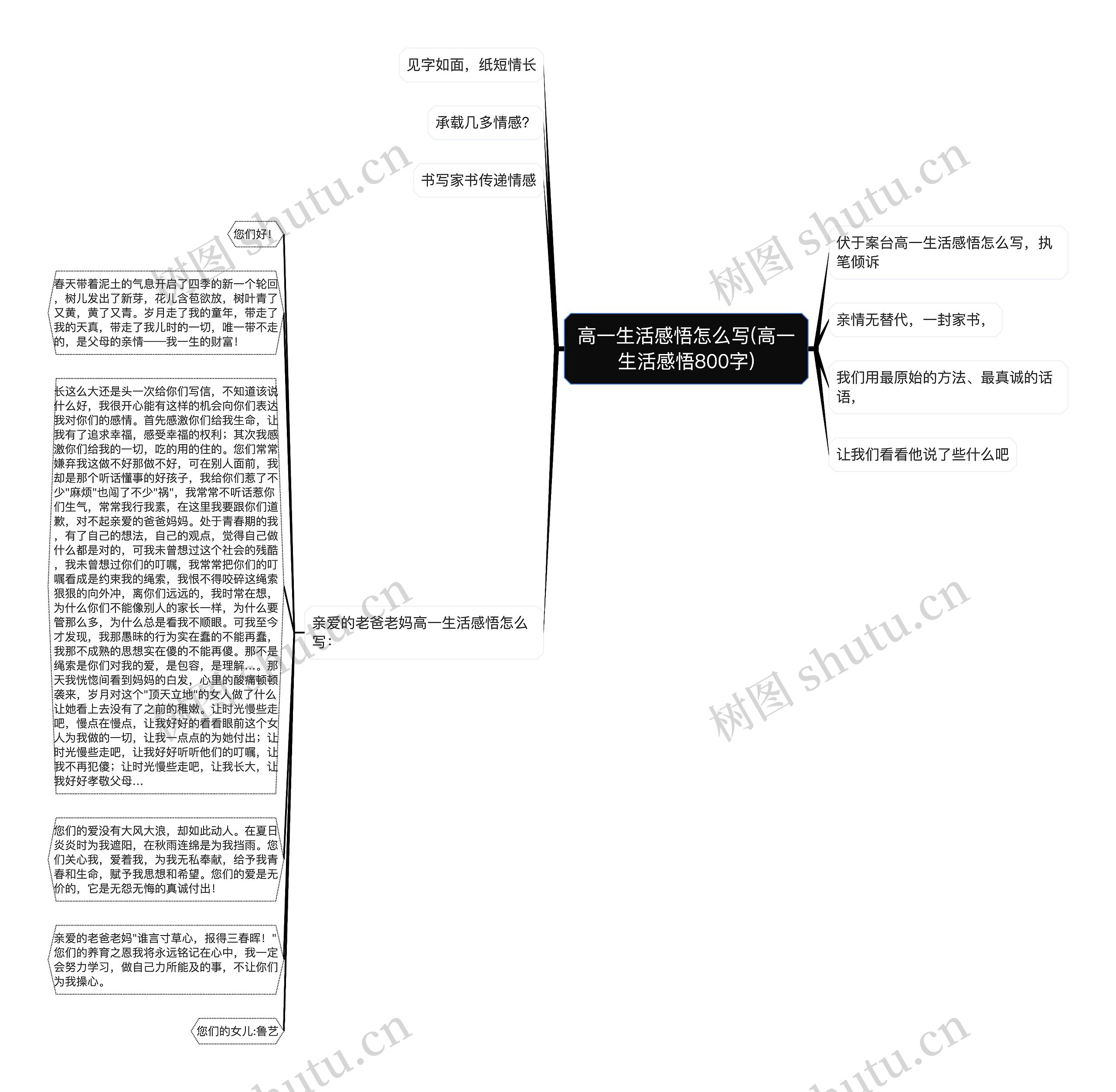 高一生活感悟怎么写(高一生活感悟800字)思维导图