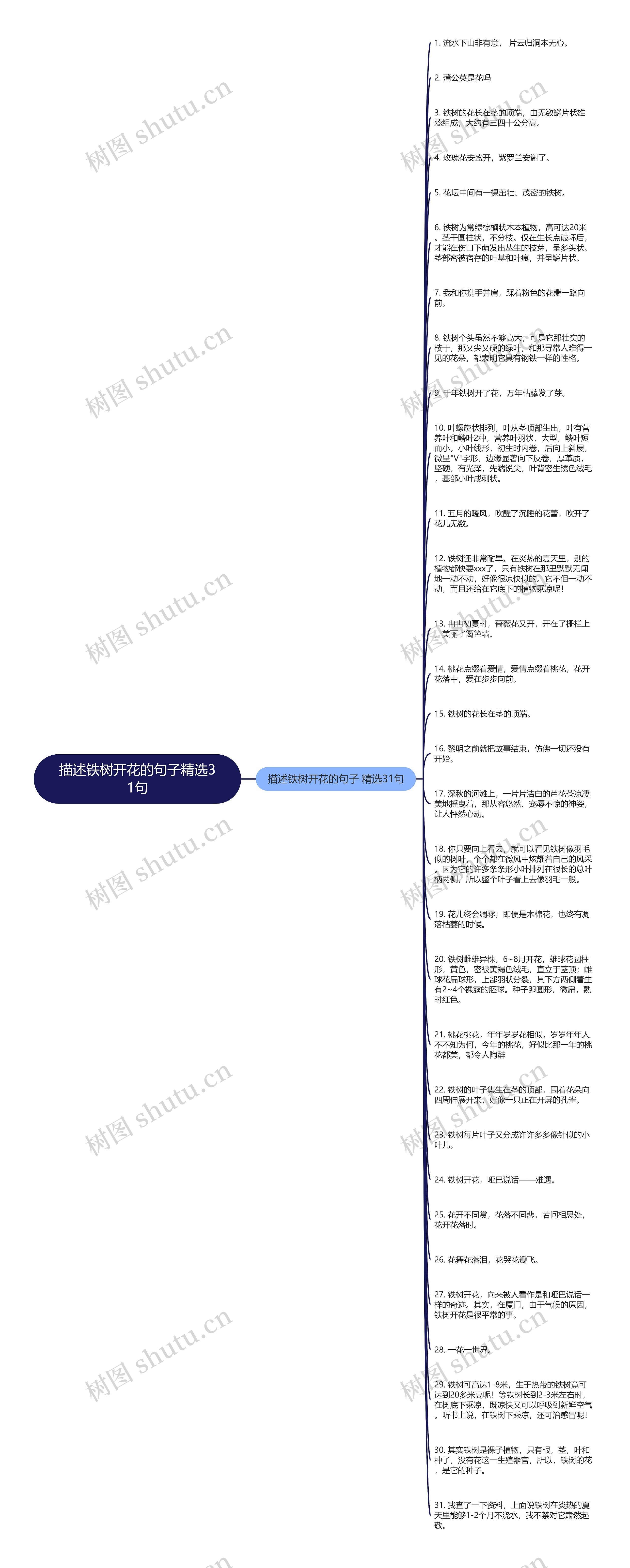 描述铁树开花的句子精选31句思维导图