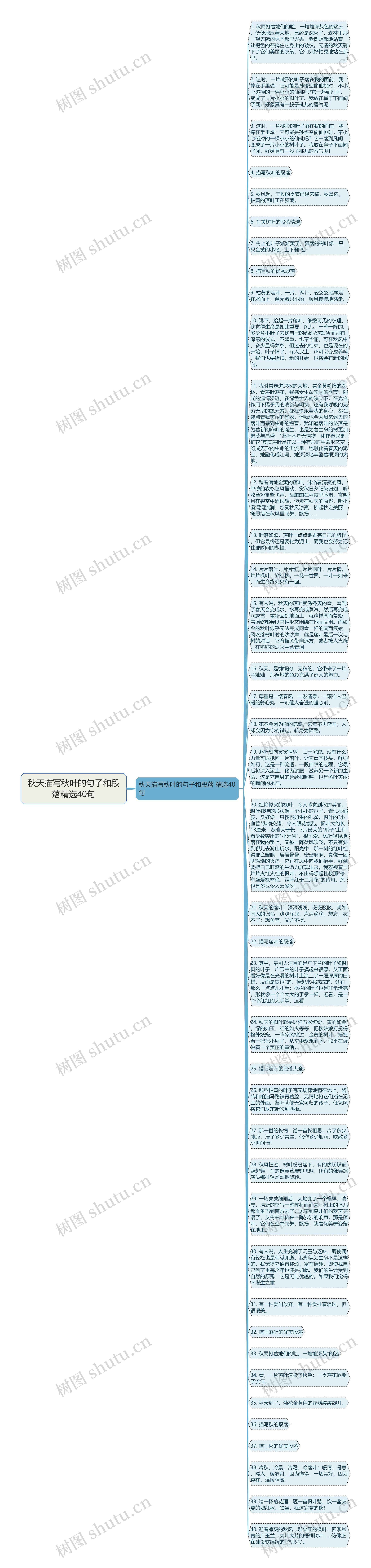 秋天描写秋叶的句子和段落精选40句