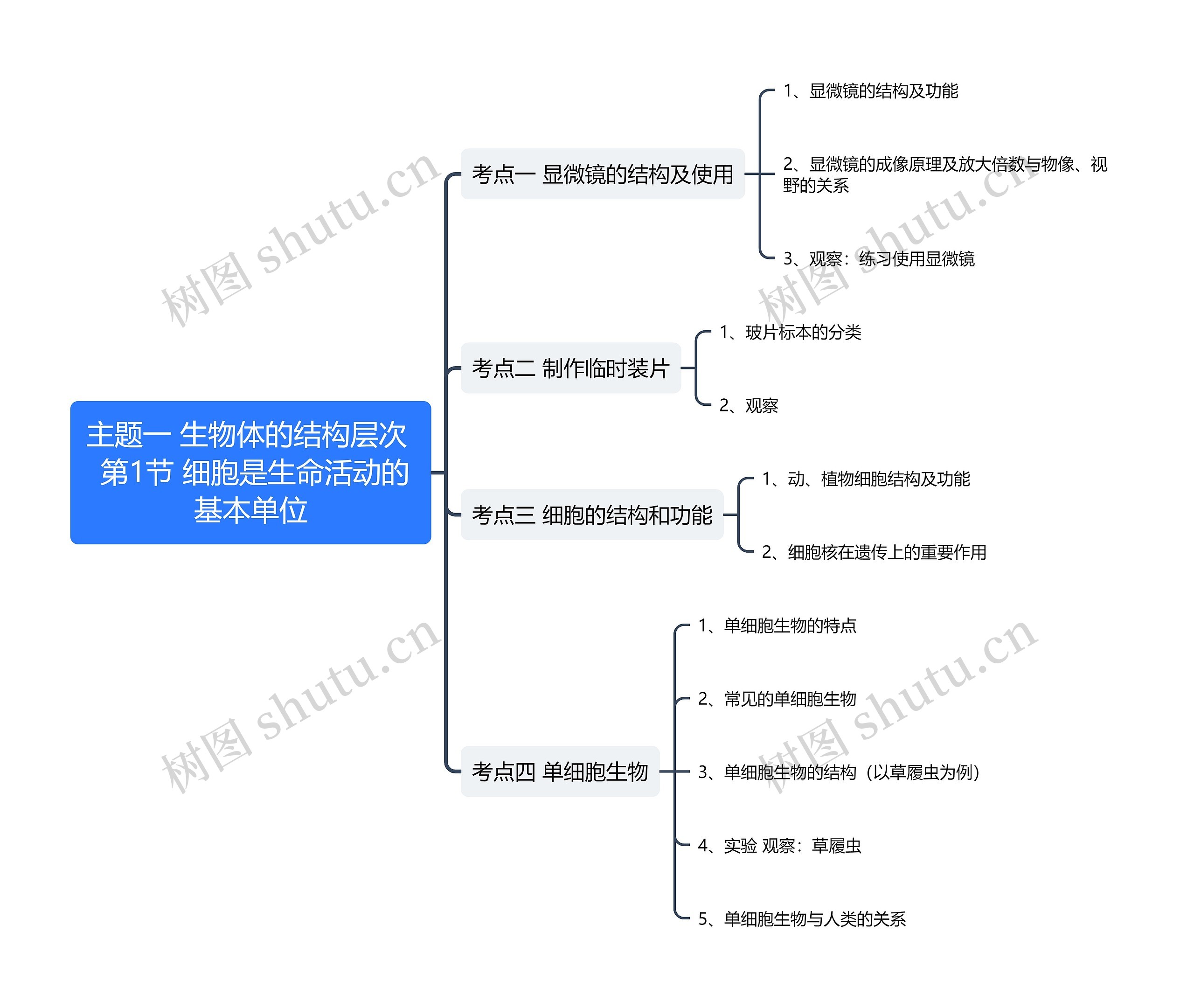 主题一 生物体的结构层次  ﻿第1节 细胞是生命活动的基本单位思维导图
