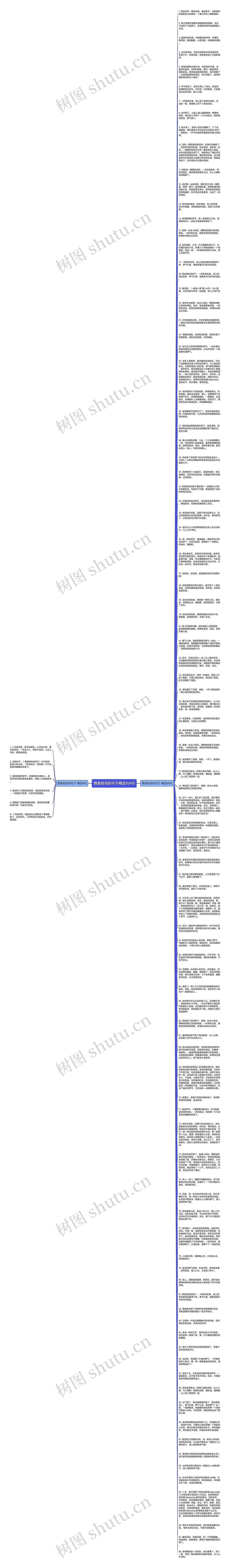 赞美桂花的句子精选104句思维导图