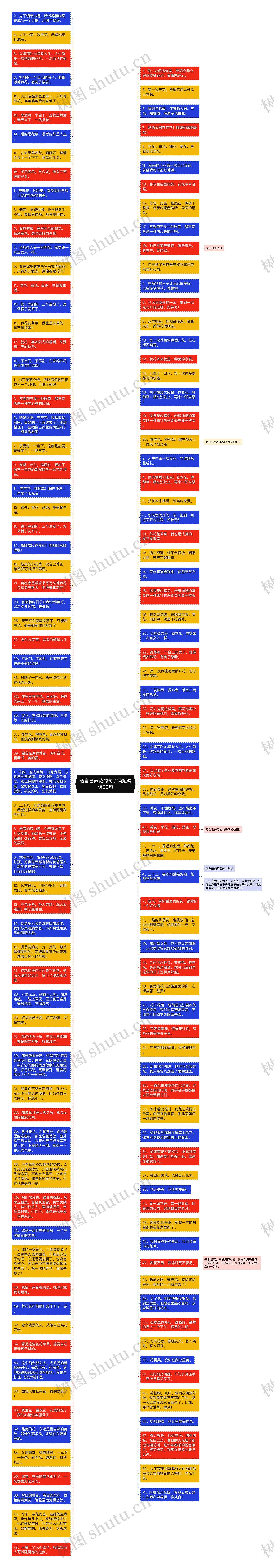 晒自己养花的句子简短精选90句思维导图