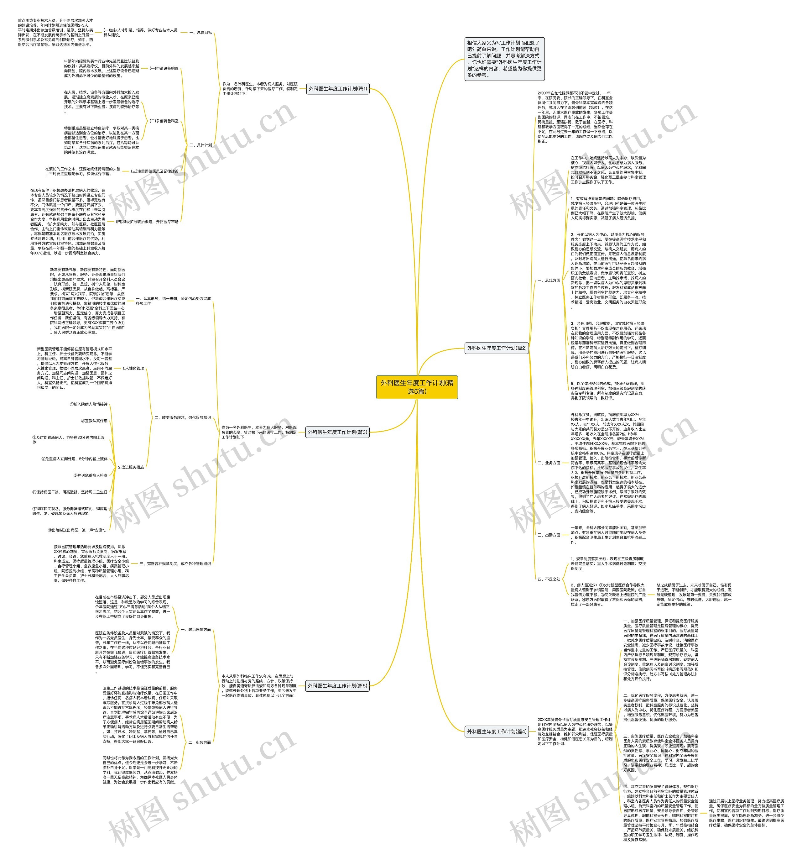 外科医生年度工作计划(精选5篇)思维导图