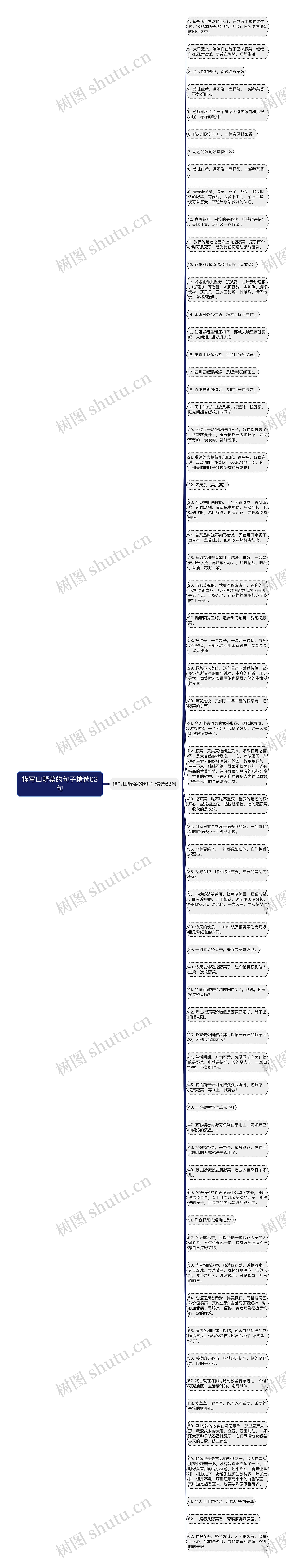 描写山野菜的句子精选63句思维导图