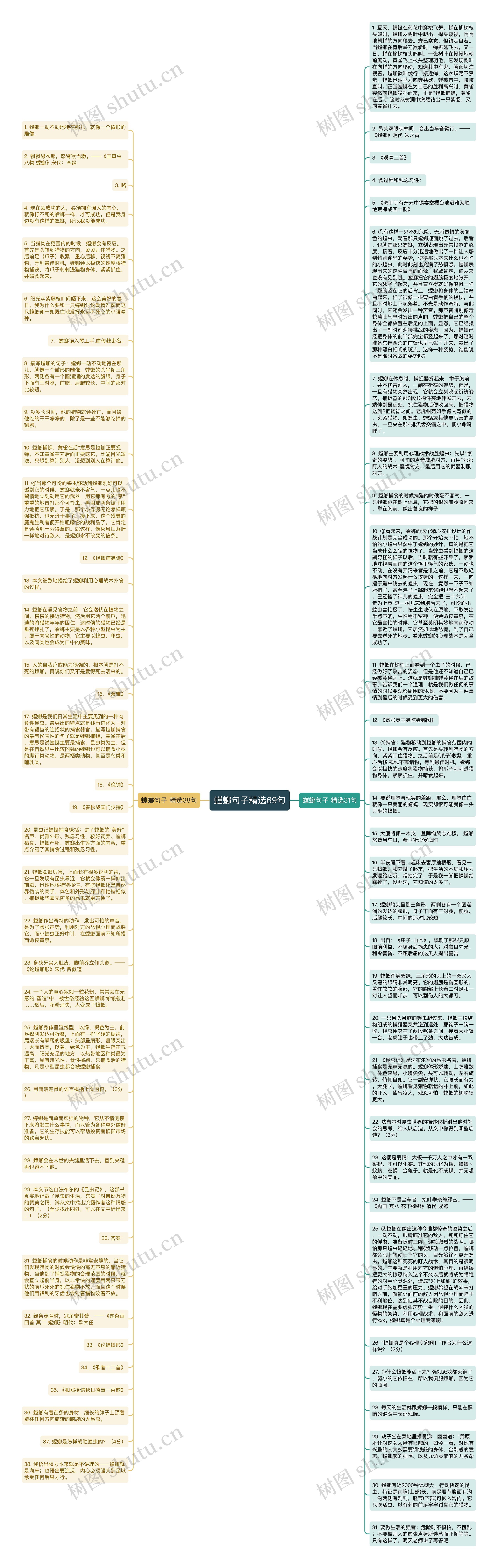 螳螂句子精选69句思维导图