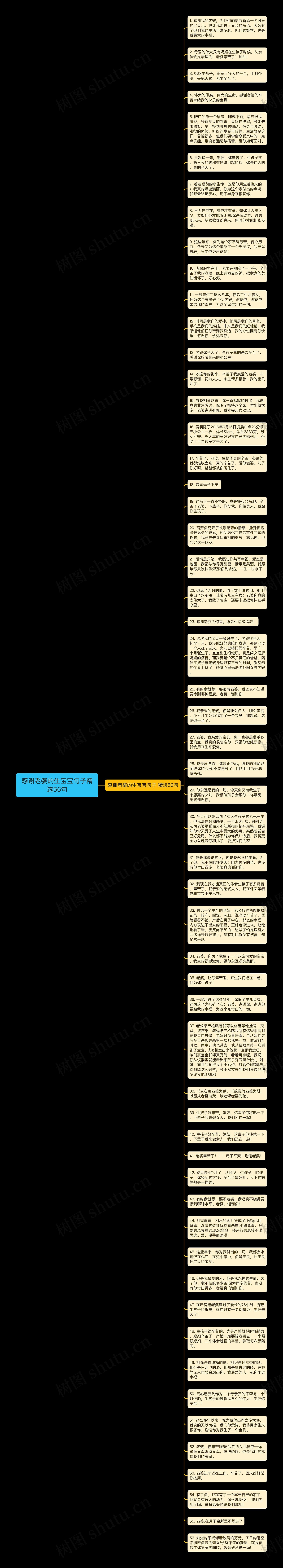 感谢老婆的生宝宝句子精选56句思维导图