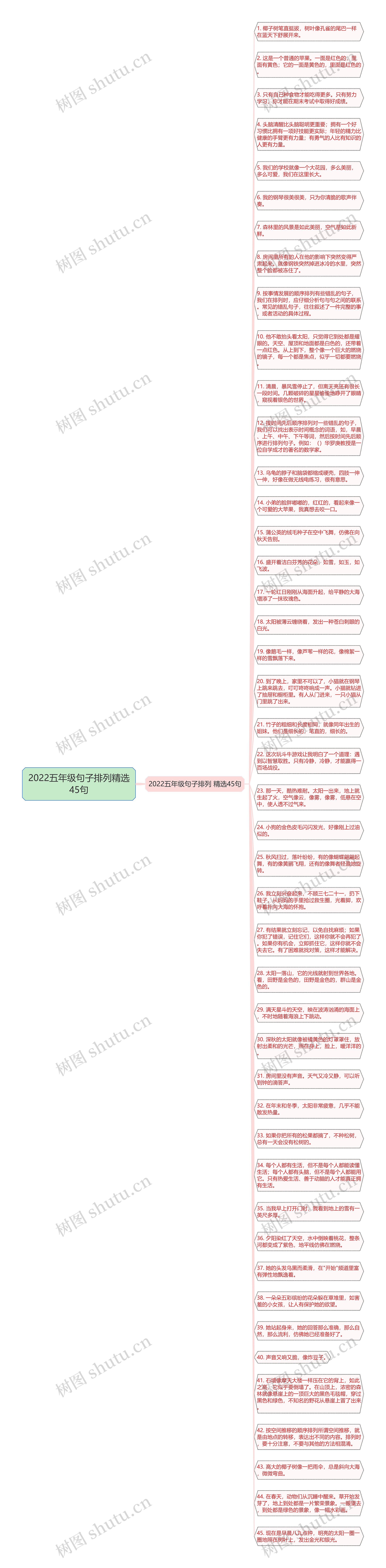 2022五年级句子排列精选45句思维导图