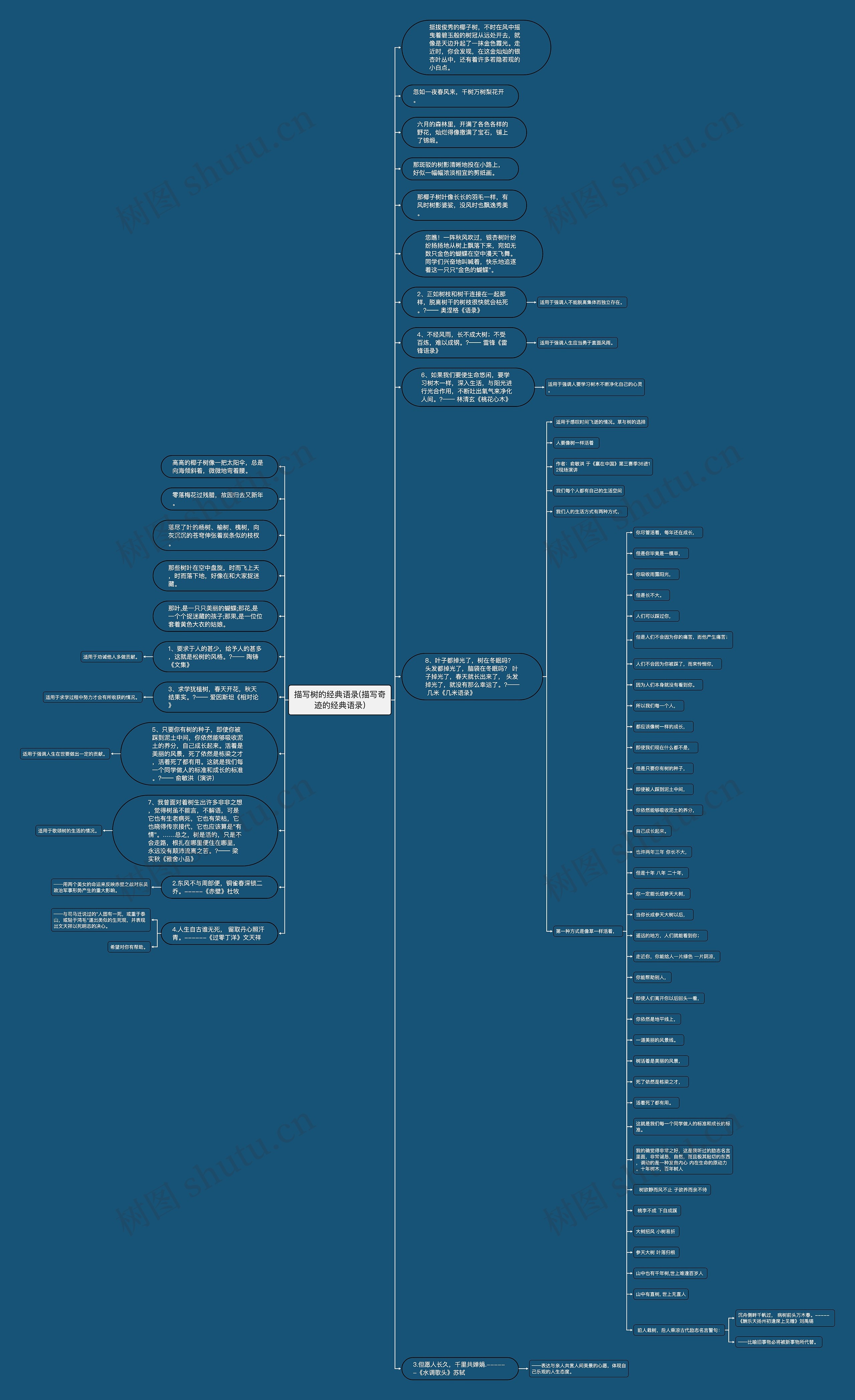 描写树的经典语录(描写奇迹的经典语录)思维导图