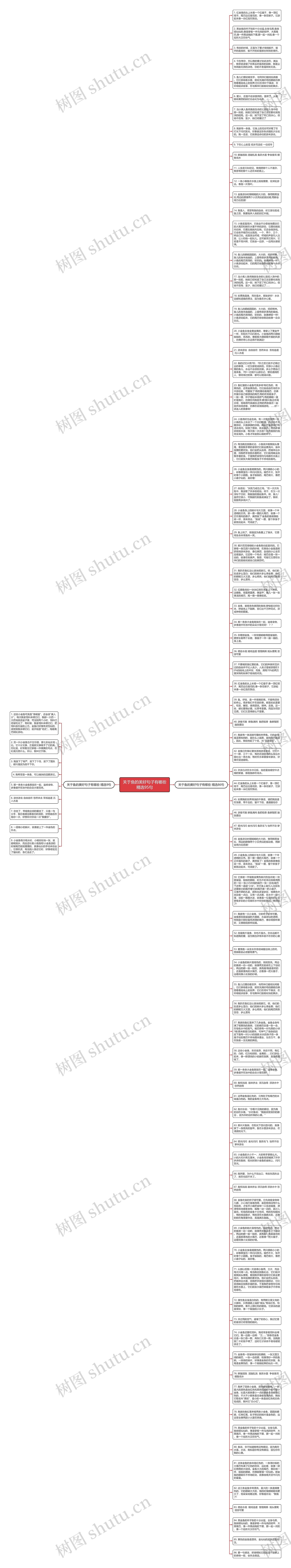 关于鱼的美好句子有哪些精选95句思维导图