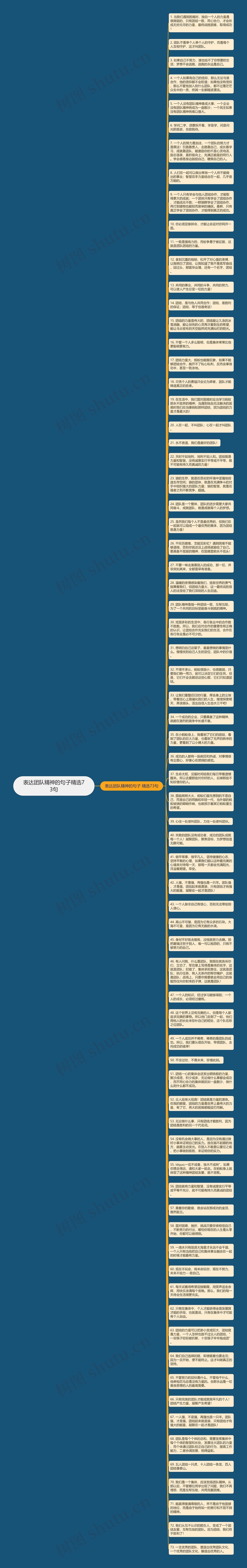 表达团队精神的句子精选73句思维导图