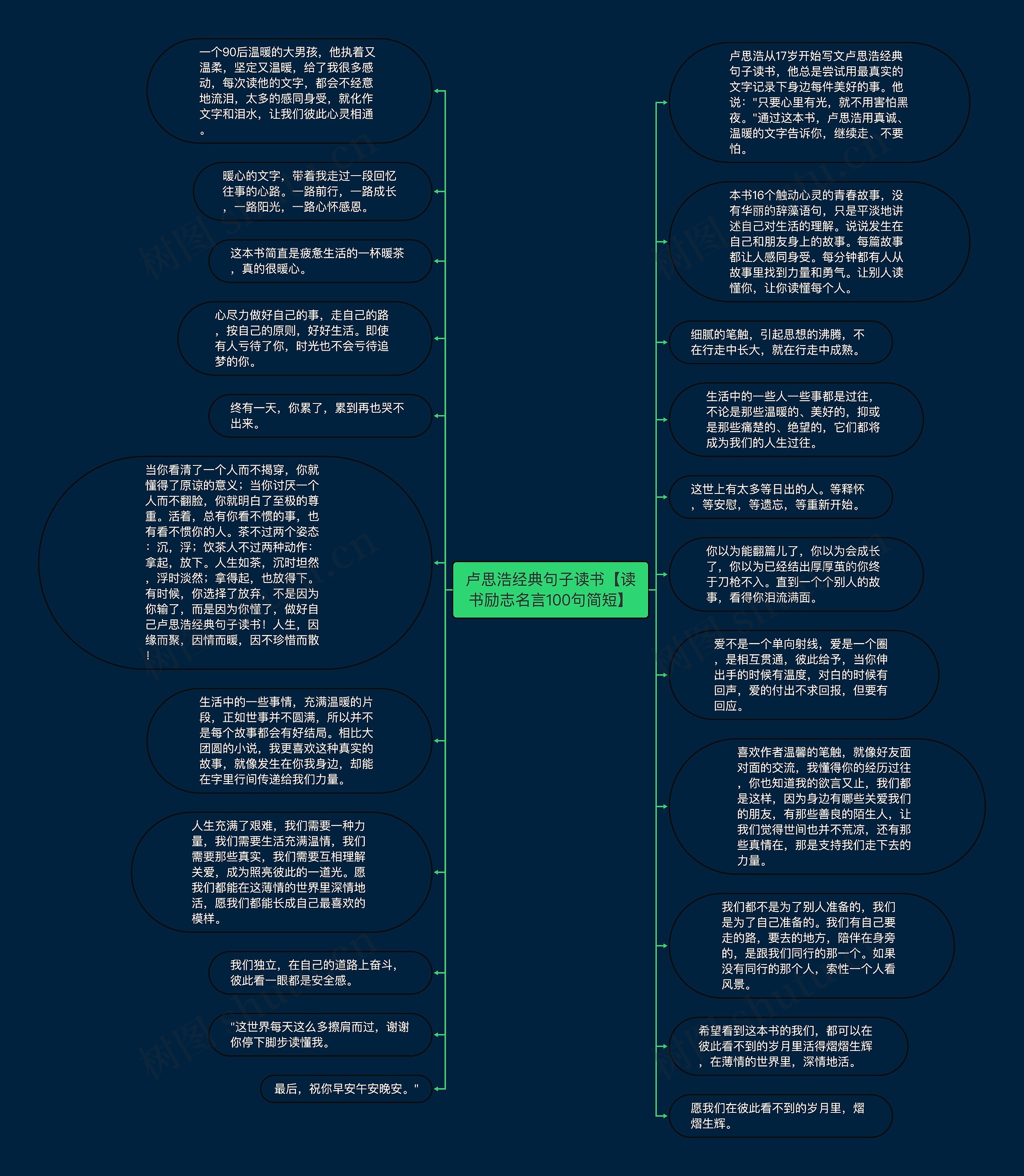 卢思浩经典句子读书【读书励志名言100句简短】思维导图