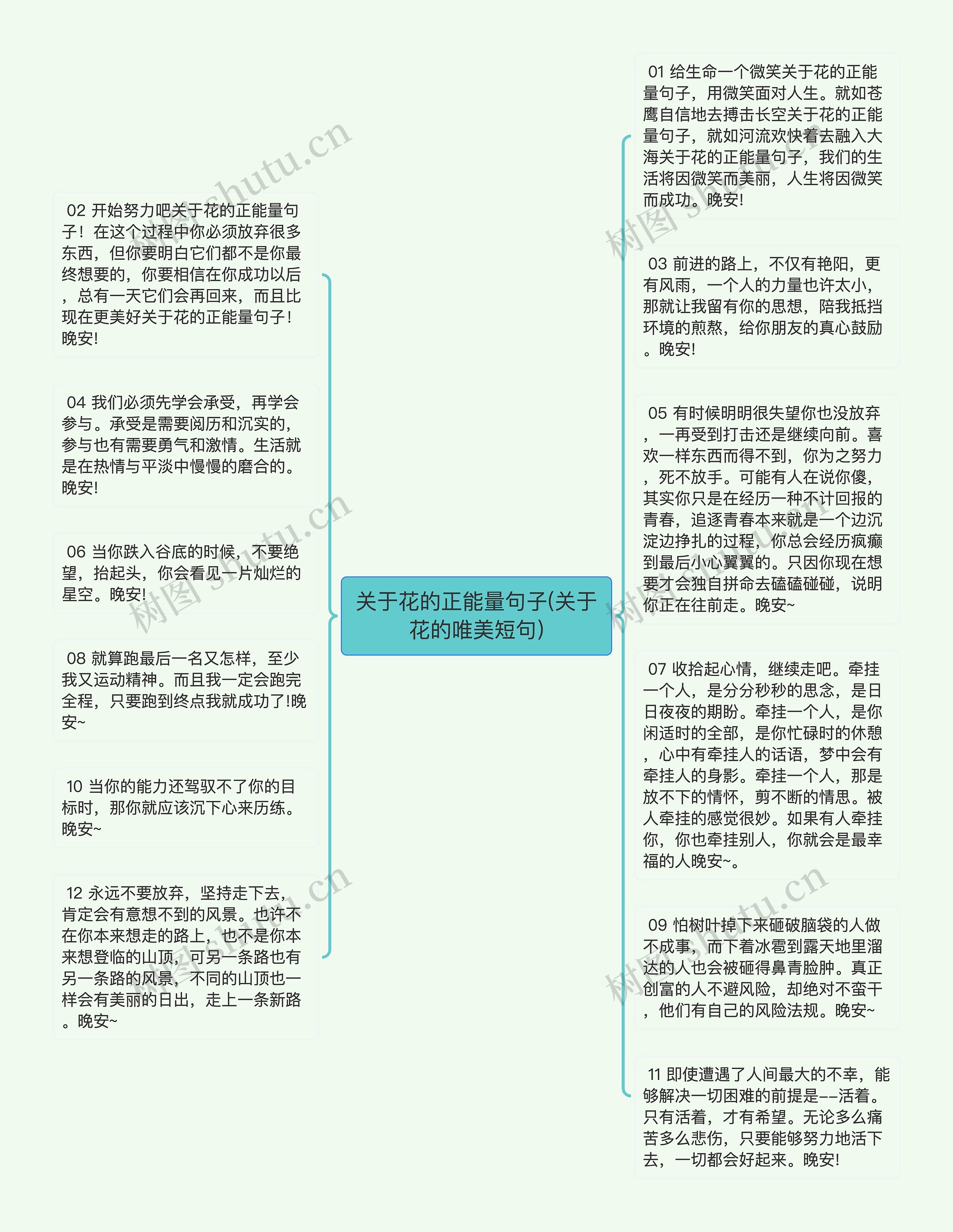 关于花的正能量句子(关于花的唯美短句)思维导图