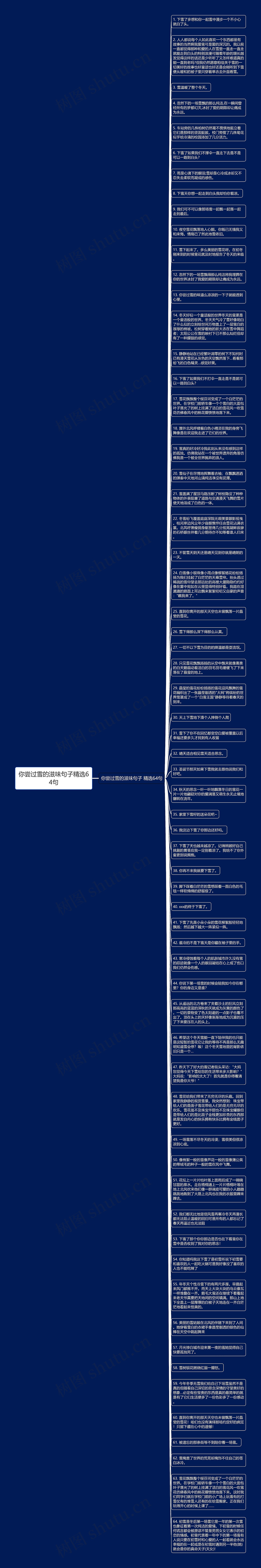 你尝过雪的滋味句子精选64句