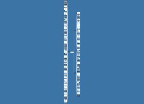 相信有真爱的句子精选210句