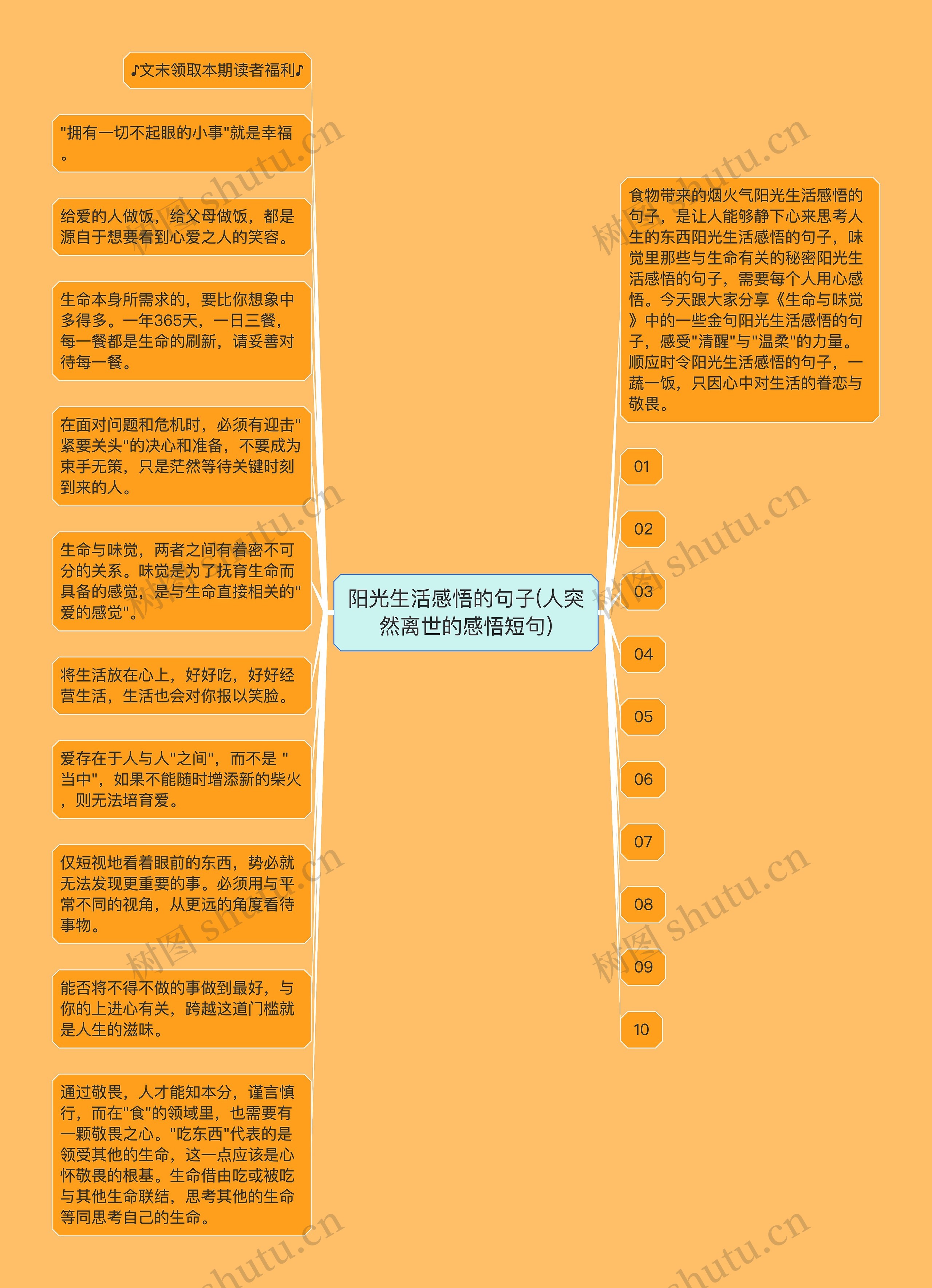 阳光生活感悟的句子(人突然离世的感悟短句)