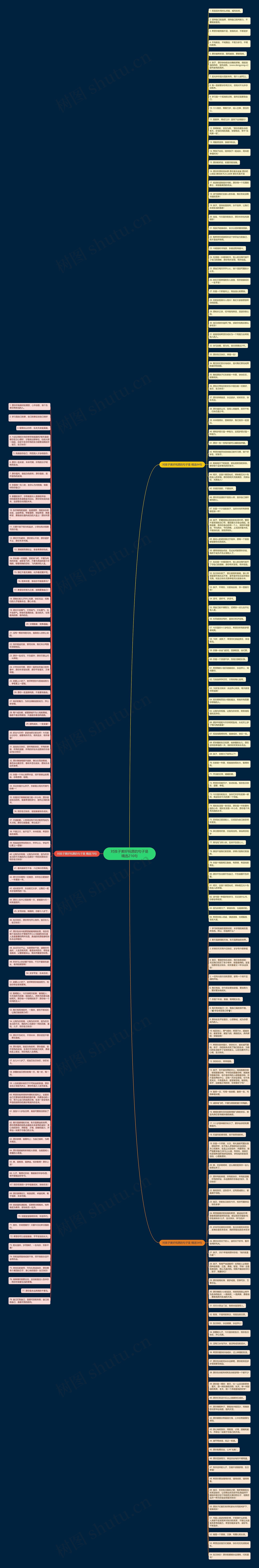 对孩子美好祝愿的句子是精选216句思维导图