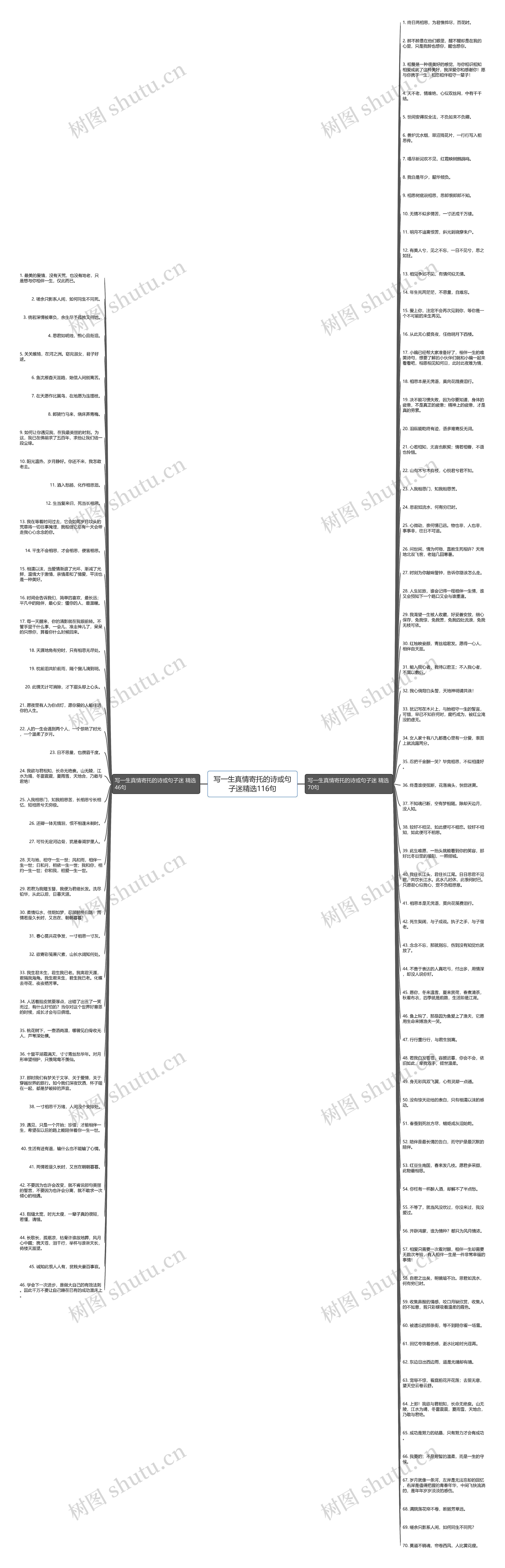 写一生真情寄托的诗或句子迷精选116句思维导图
