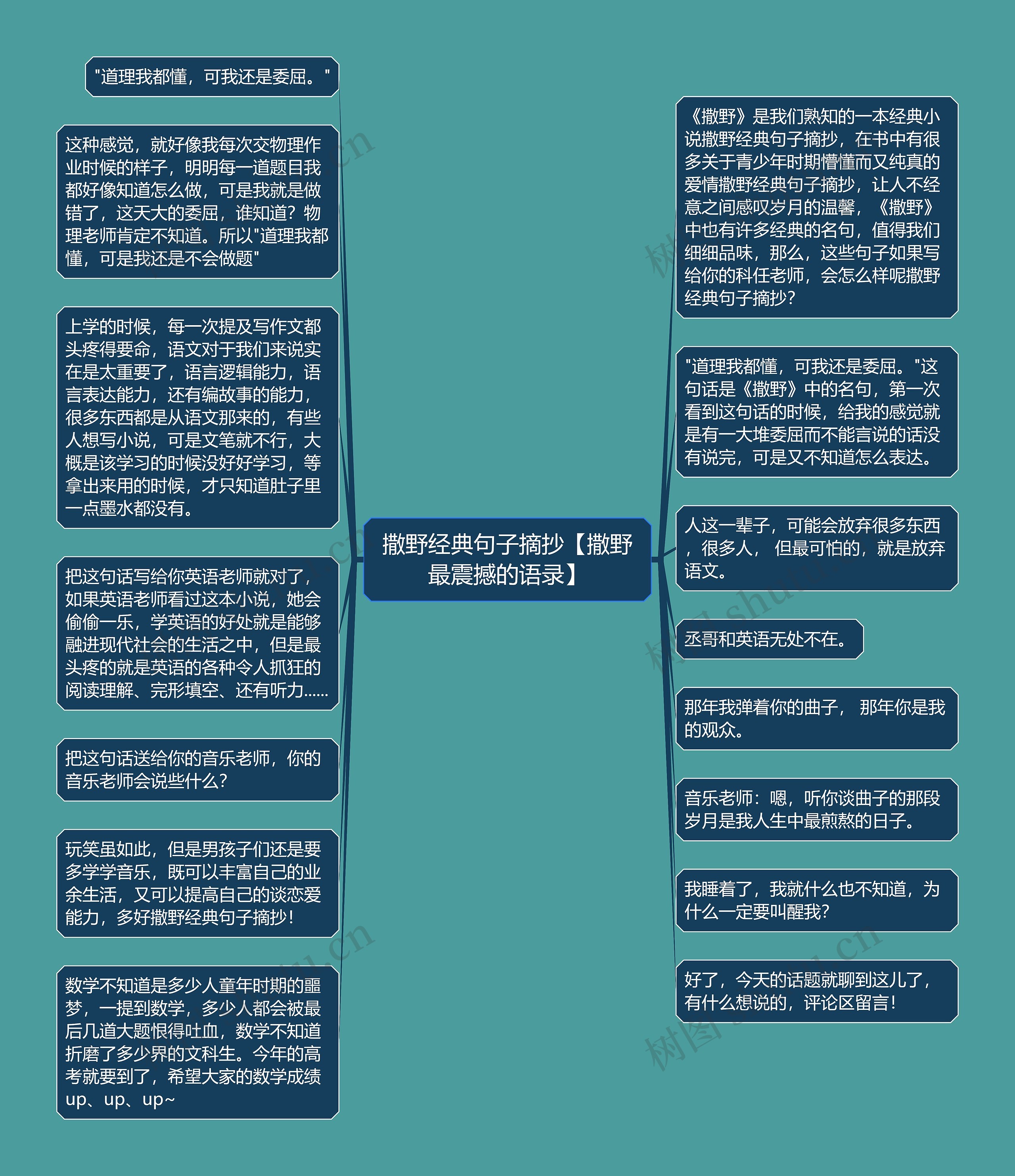 撒野经典句子摘抄【撒野最震撼的语录】思维导图