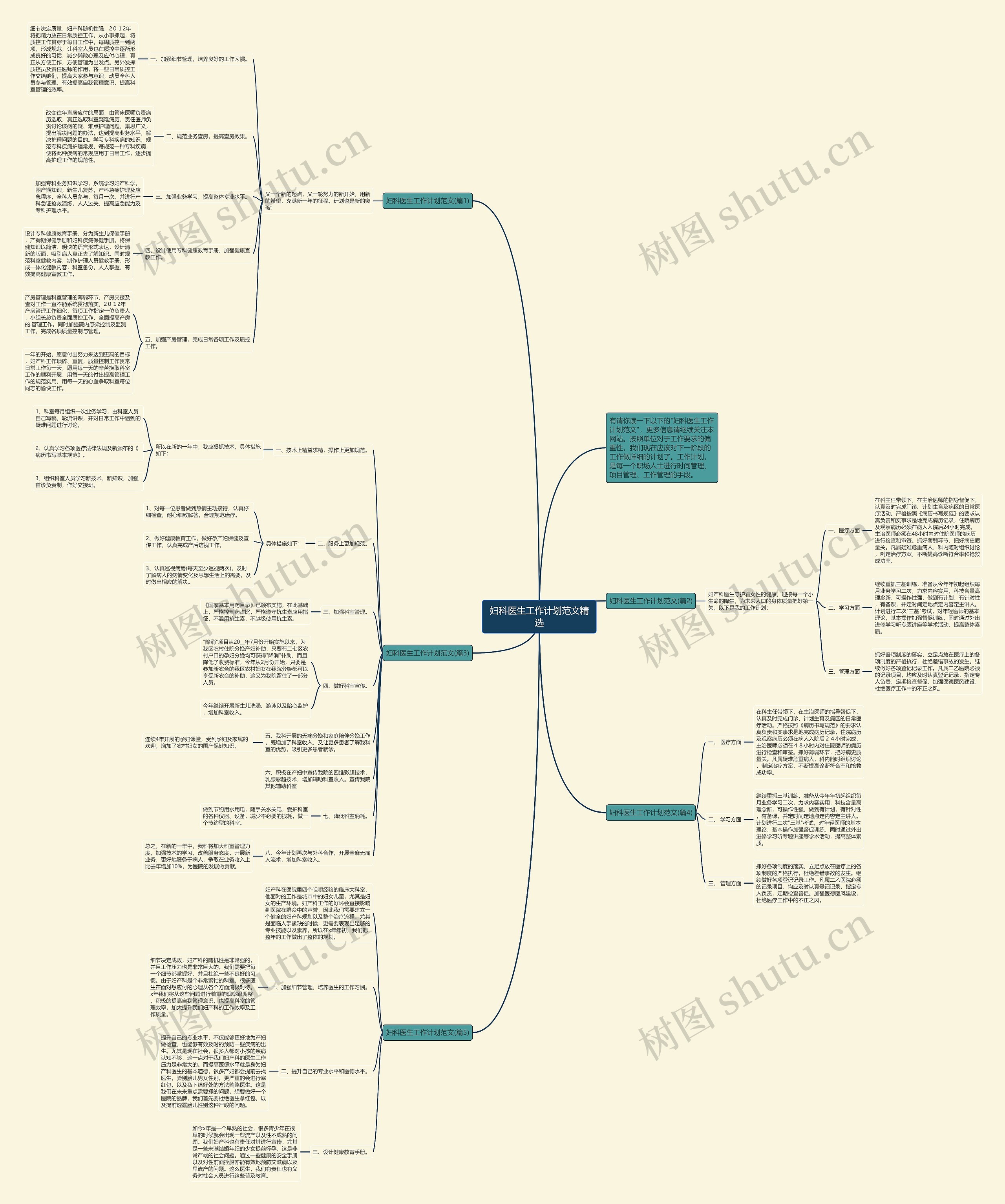 妇科医生工作计划范文精选思维导图