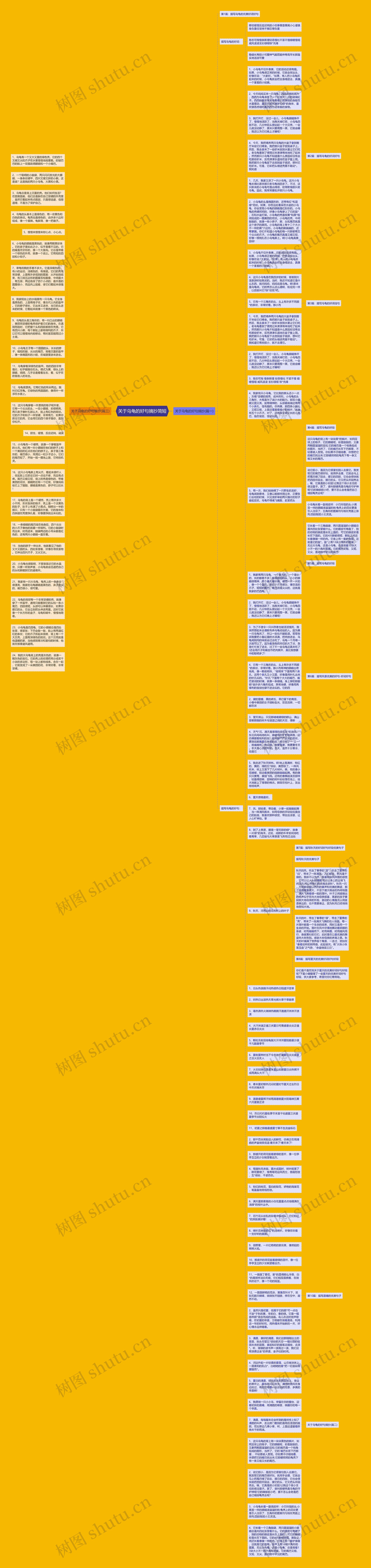 关于乌龟的好句摘抄简短思维导图