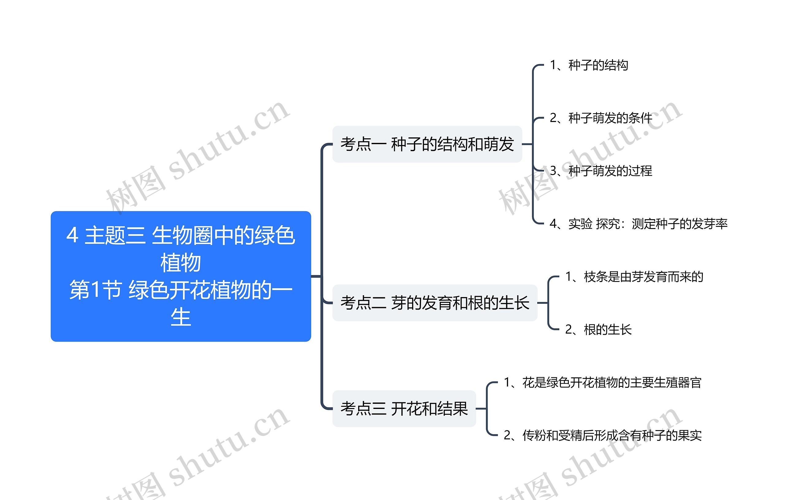 主题三 生物圈中的绿色植物第1节 绿色开花植物的一生思维导图