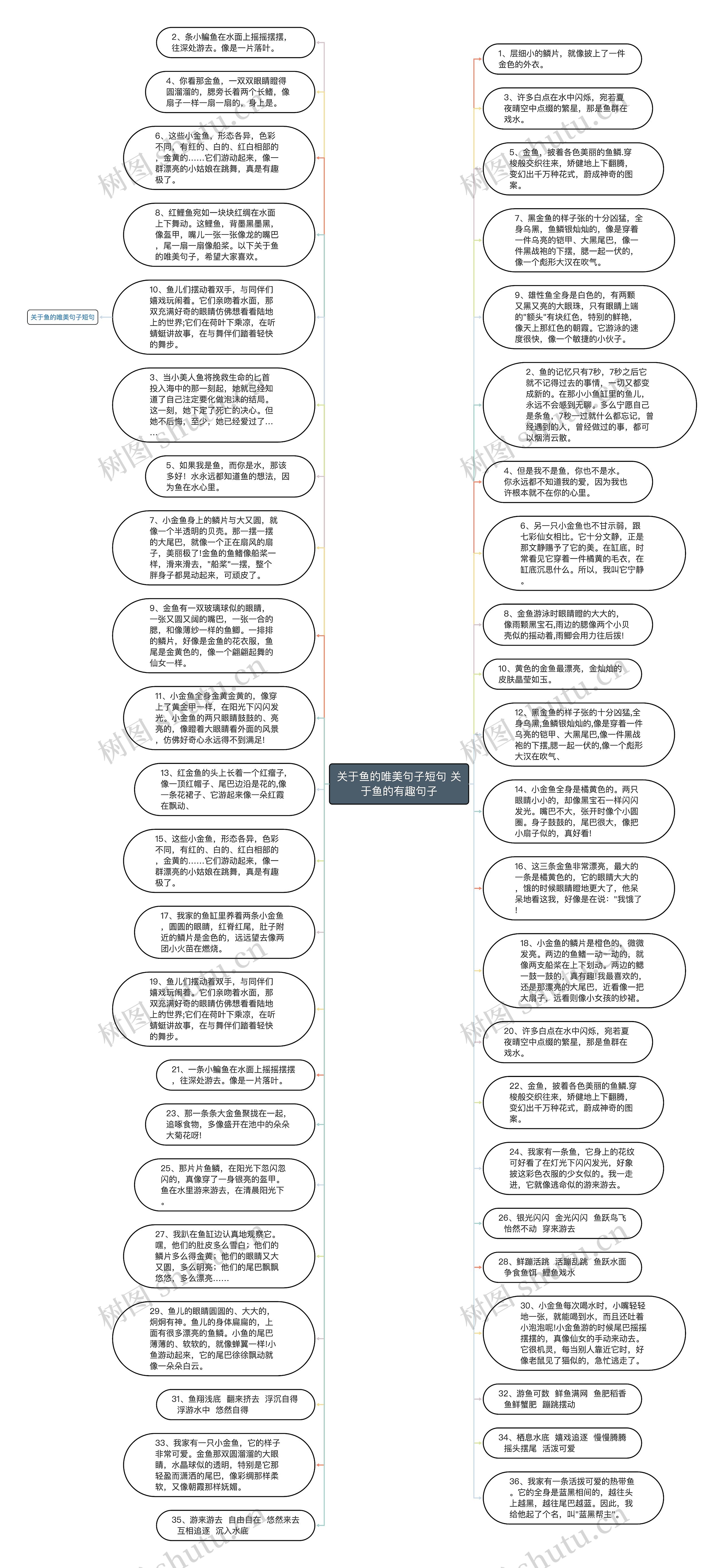 关于鱼的唯美句子短句 关于鱼的有趣句子