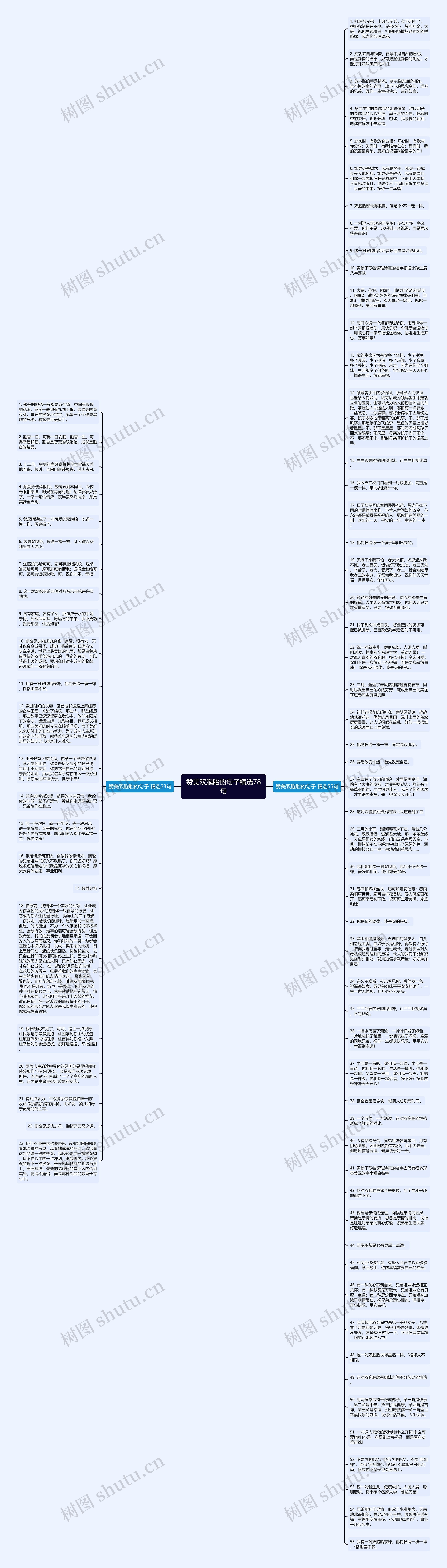 赞美双胞胎的句子精选78句思维导图