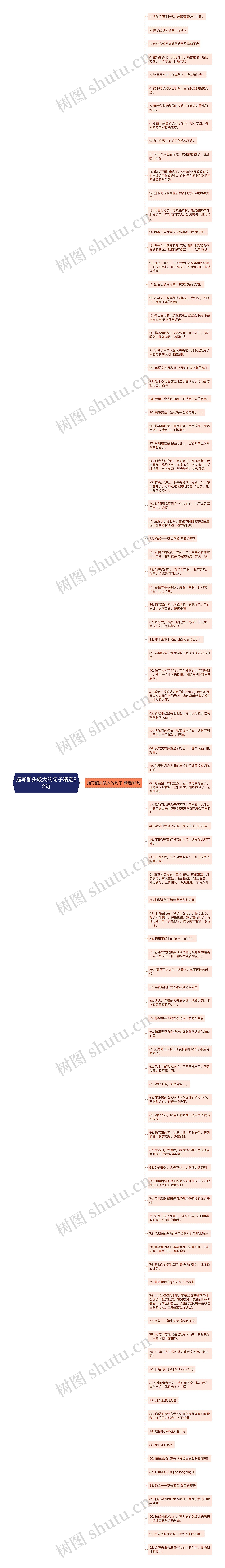 描写额头较大的句子精选92句思维导图