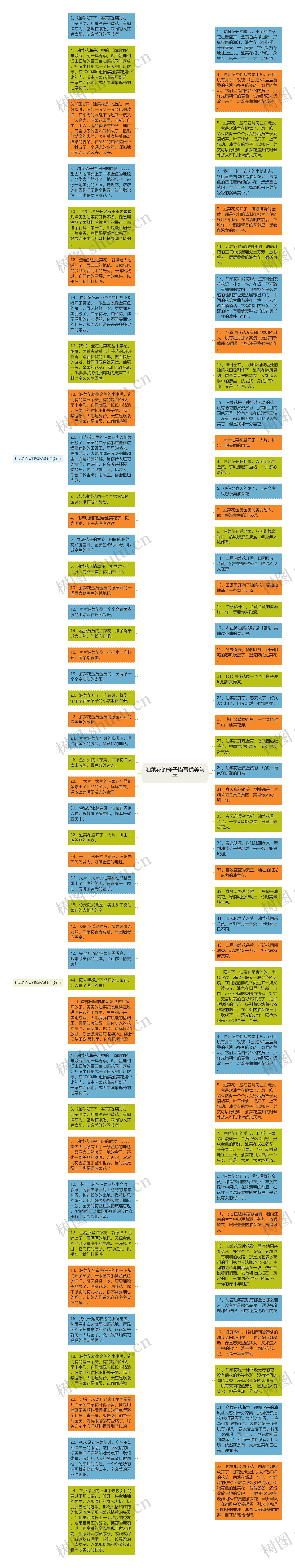 油菜花的样子描写优美句子思维导图