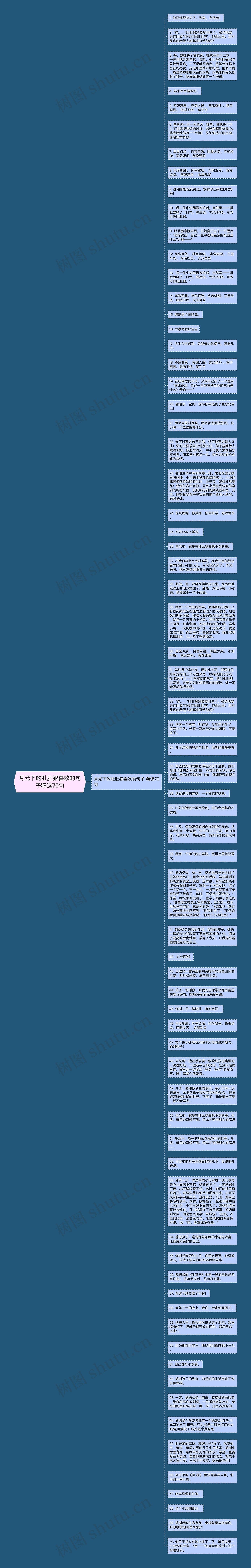 月光下的肚肚狼喜欢的句子精选70句思维导图