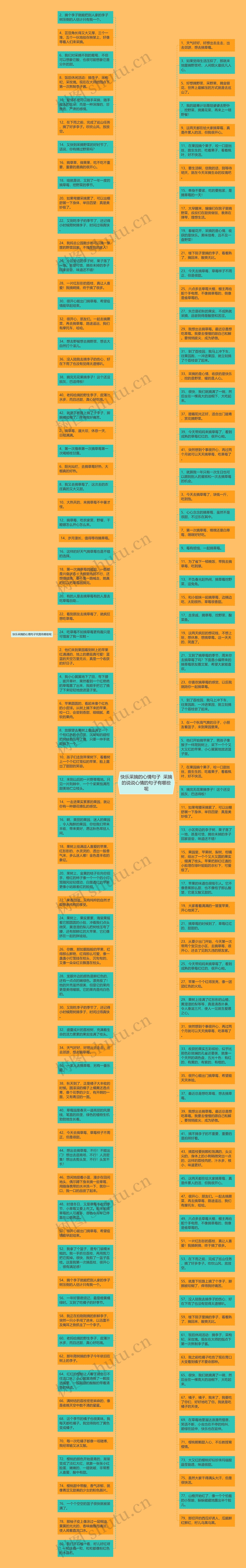 快乐采摘的心情句子  采摘的说说心情的句子有哪些呢