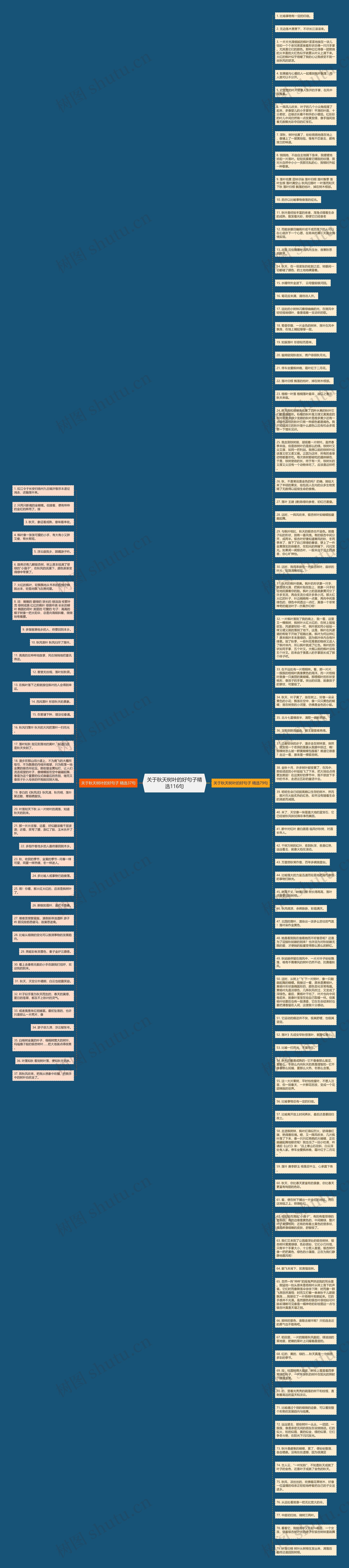 关于秋天树叶的好句子精选116句思维导图