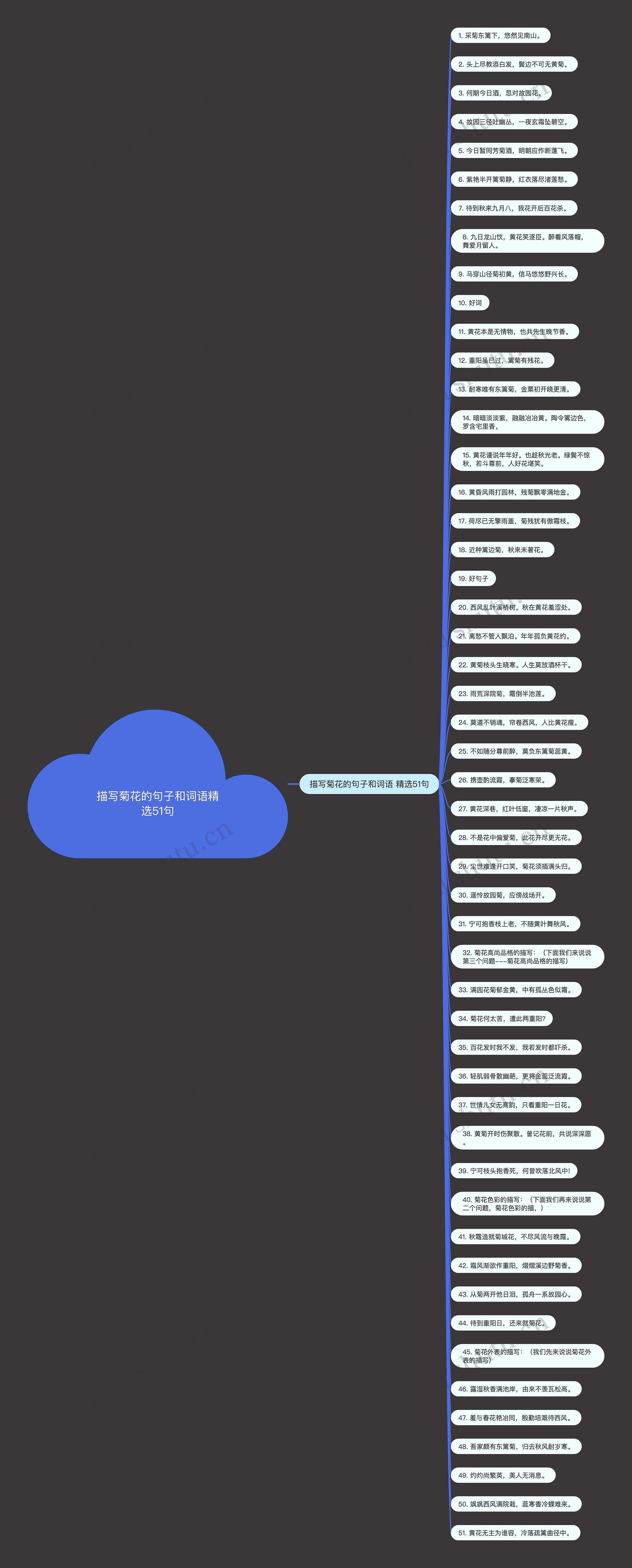 描写菊花的句子和词语精选51句 描写菊花的句子和词语精选51句