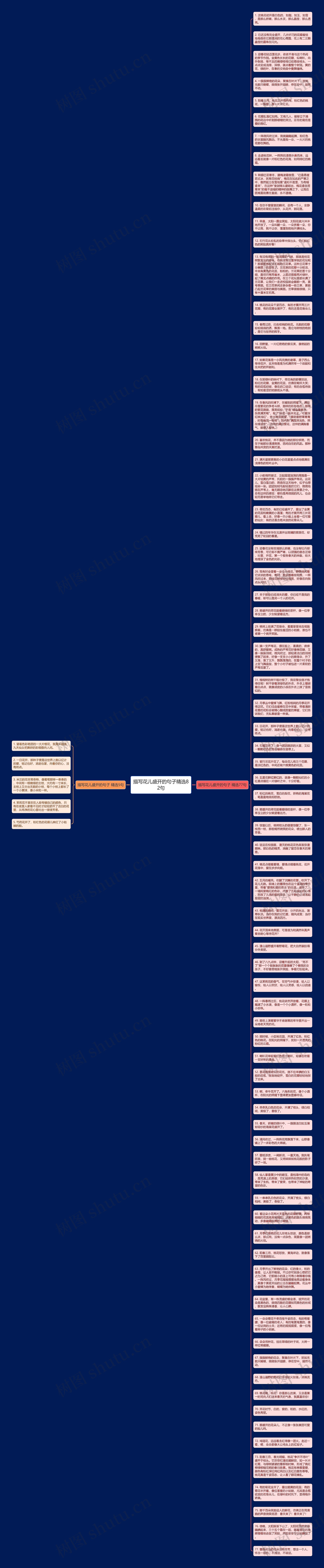 描写花儿盛开的句子精选82句思维导图