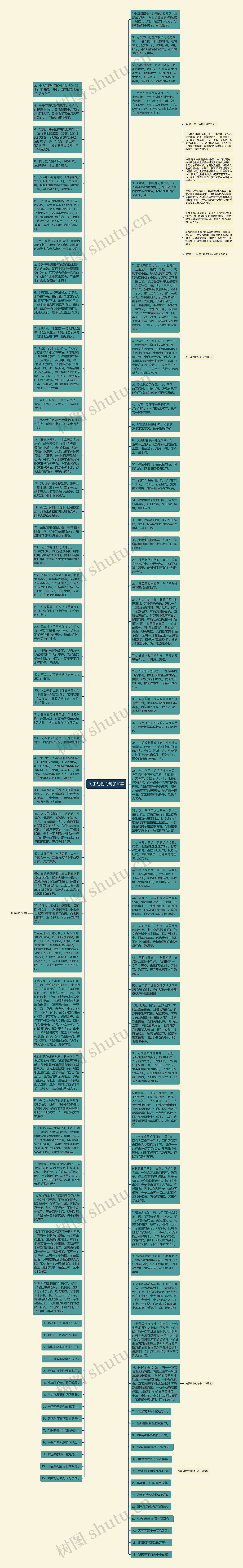 关于动物的句子10字思维导图