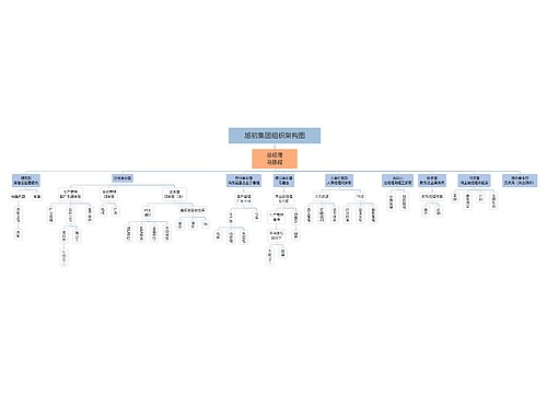 旭初集团组织架构图