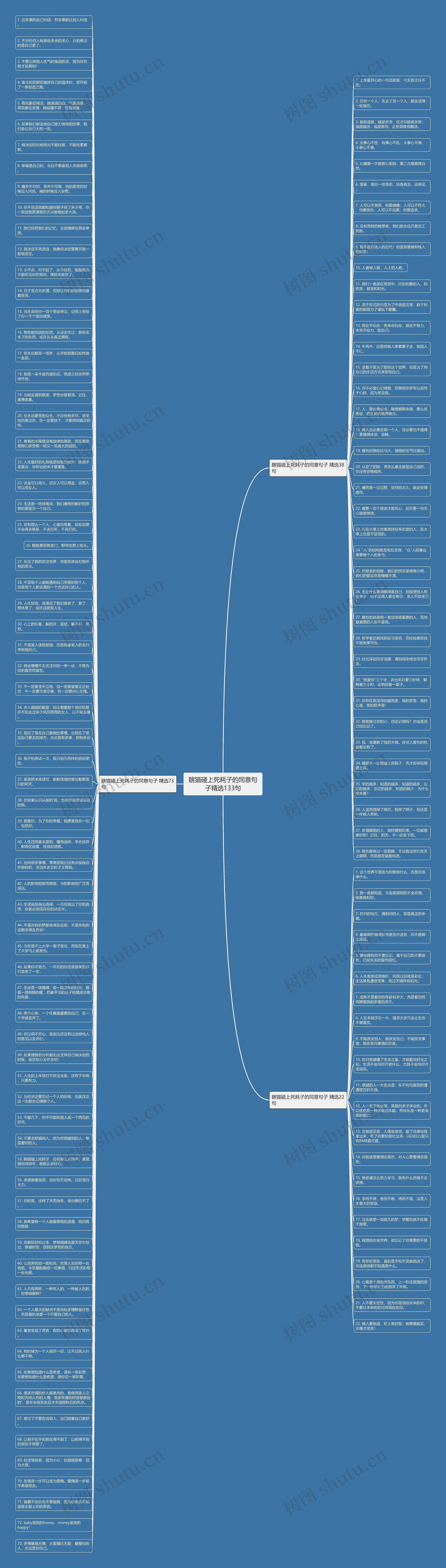 瞎猫碰上死耗子的同意句子精选133句思维导图高清图 瞎猫碰上死耗子的同意句子精选133句思维导图