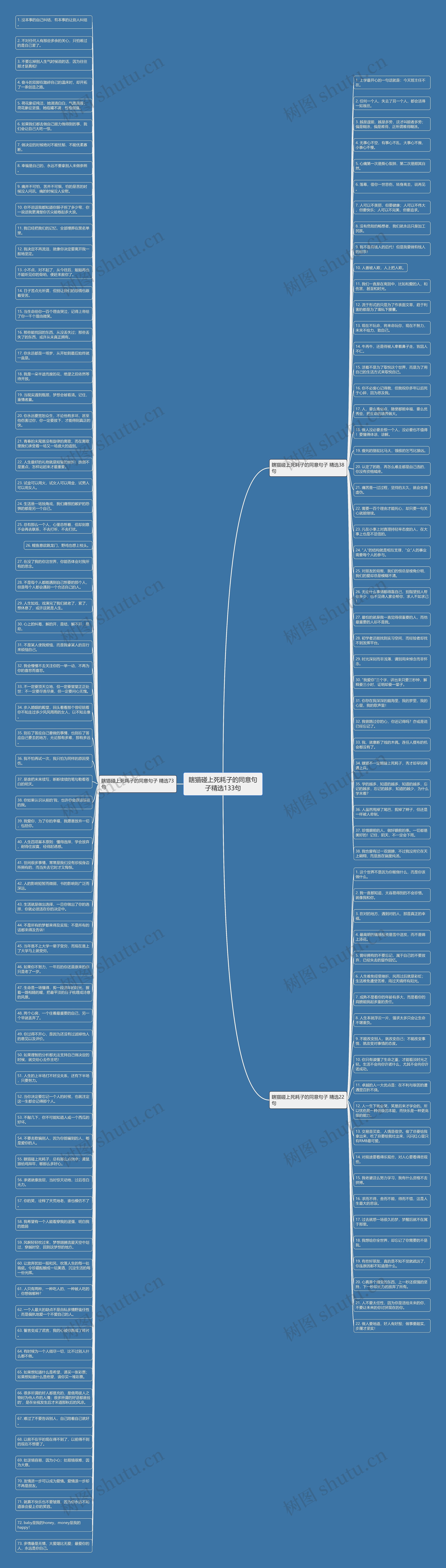 瞎猫碰上死耗子的同意句子精选133句思维导图