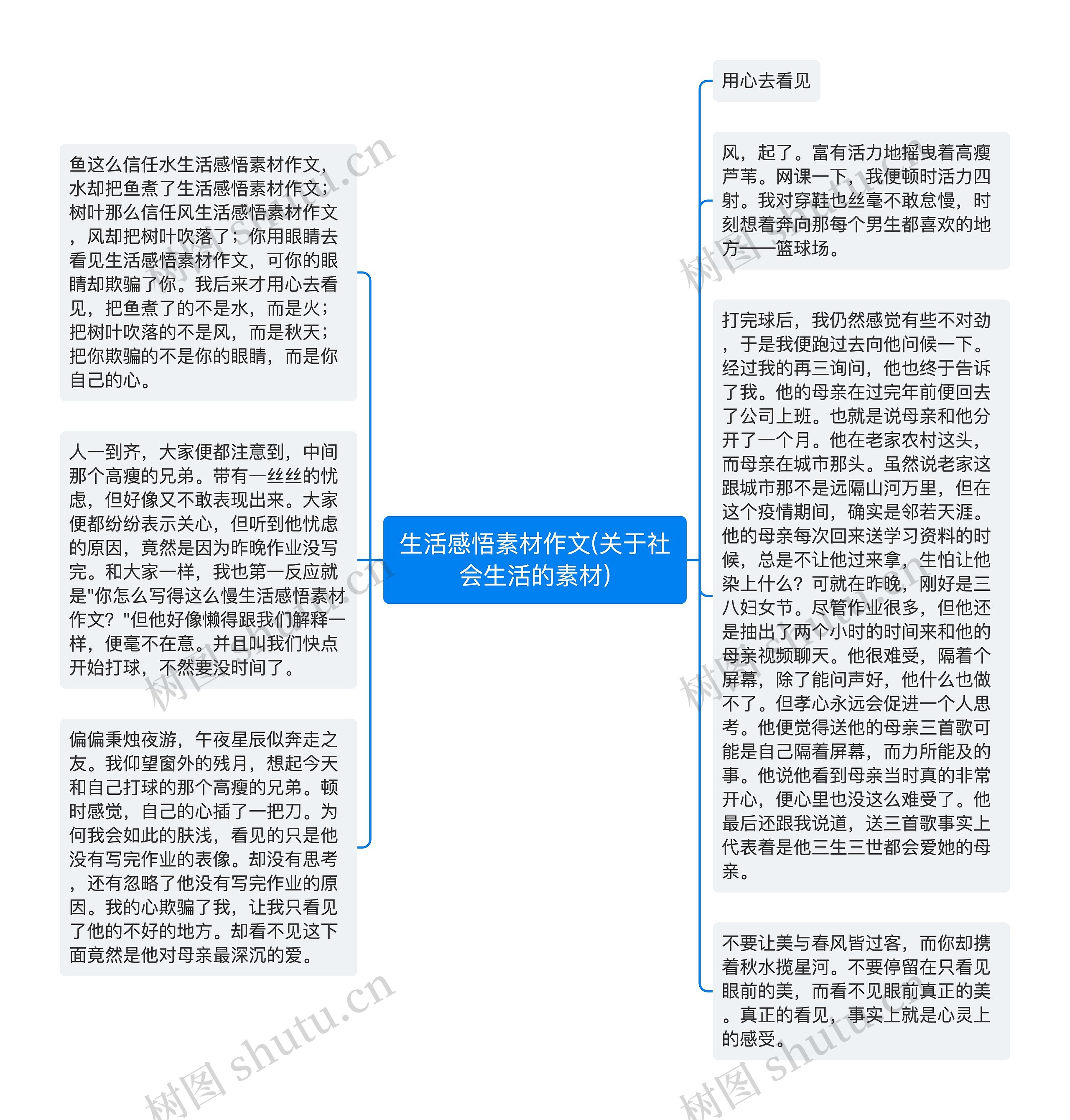 生活感悟素材作文(关于社会生活的素材)